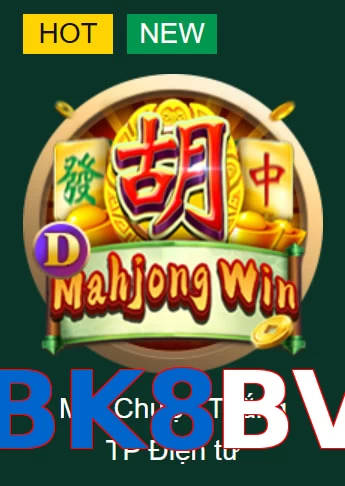 BK8BV